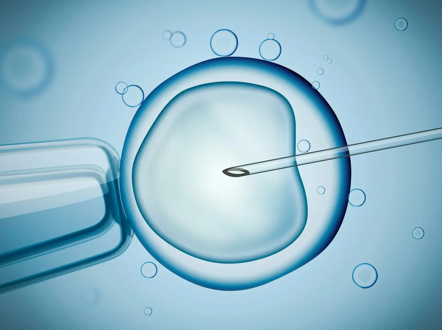 Fertility IVF Fertility Aid Visualization Under Microscope.