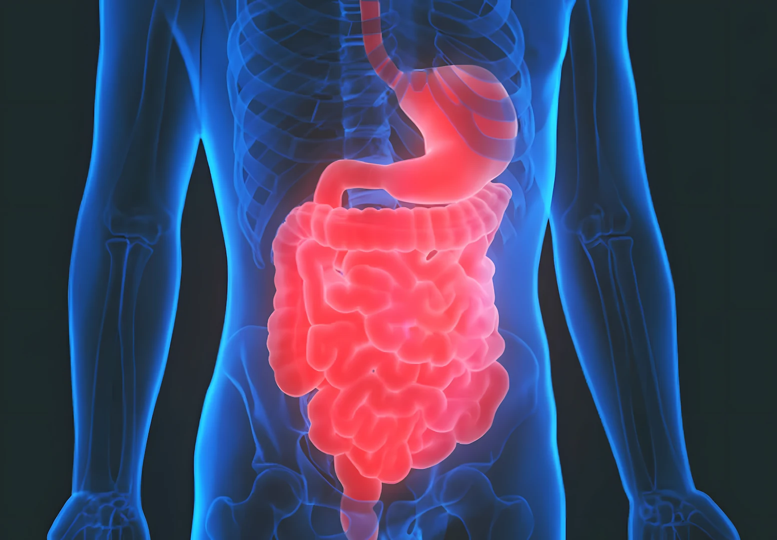 Intestine Transplant
