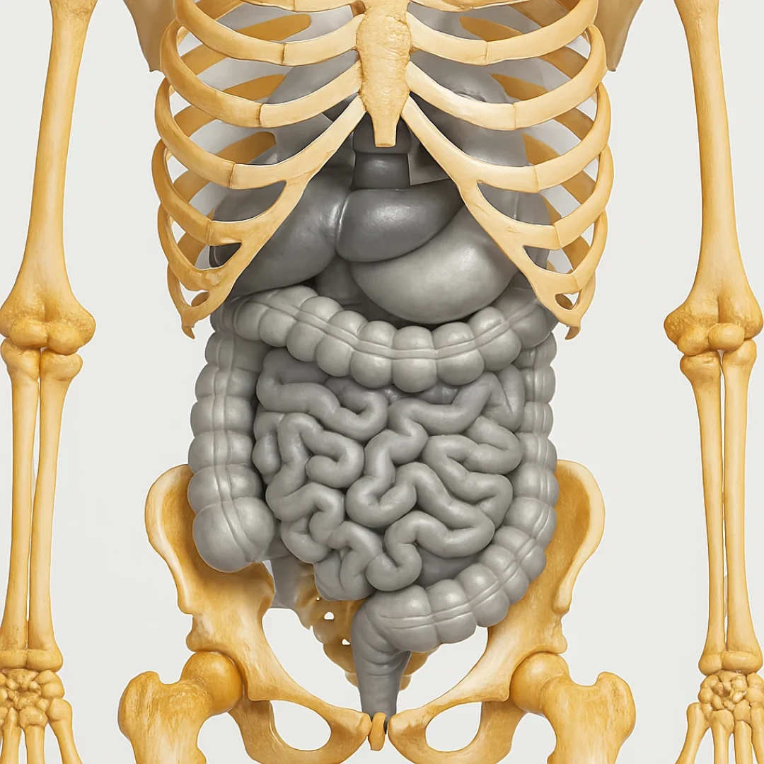 Bone Marrow Transplant in Iran