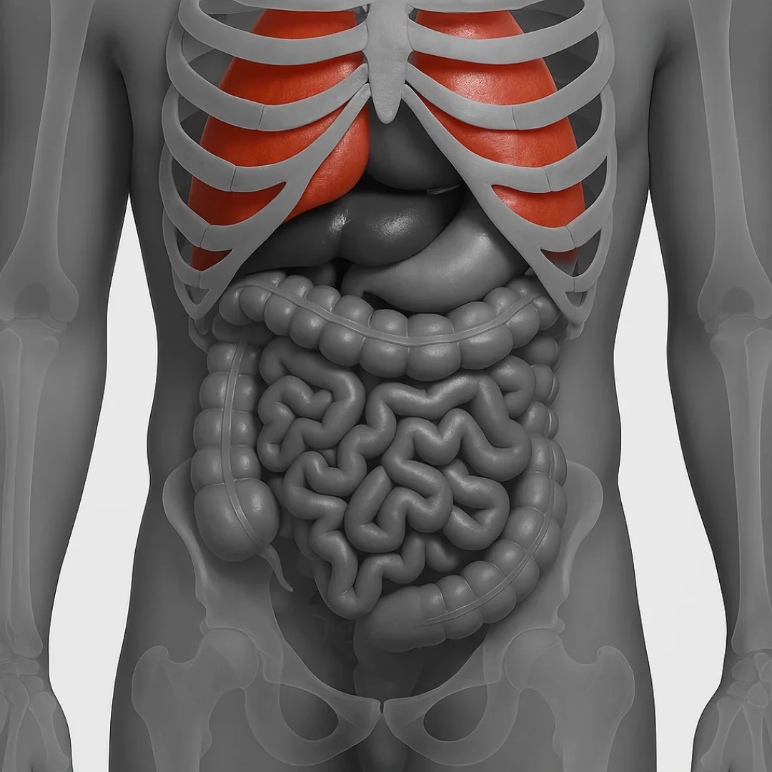 Lung Transplant in Iran